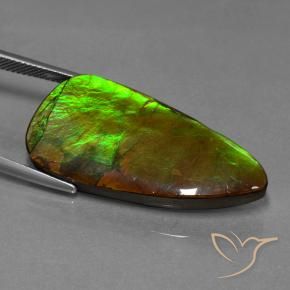 Ammolite Gemstone in 35.5 x 17.1 mm Size for Sale, Ammolite Stone in Multicolor Color