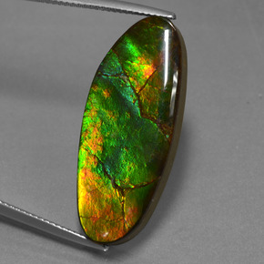 17.75 ct Multicolor Ammolite Gemstone, Ammolite Gem in Fancy Cabochon Shape for Sale.