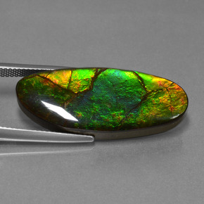 17.75 ct Multicolor Ammolite Stone, Natural Ammolite in Fancy Cabochon Shape for Sale