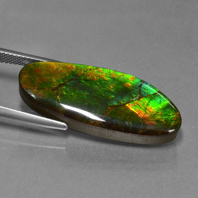 Ammolite Gemstone in 31.6 x 13 mm Size for Sale, Ammolite Stone in Multicolor Color