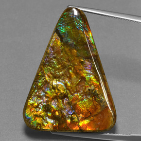 23.76 ct Multicolor Ammolite Gemstone, Ammolite Gem in Trillion Cabochon Shape for Sale.