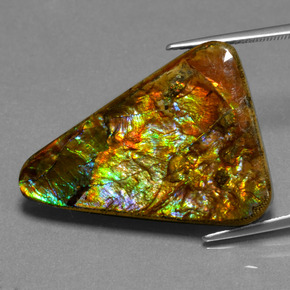 23.76 ct Multicolor Ammolite Stone, Natural Ammolite in Trillion Cabochon Shape for Sale