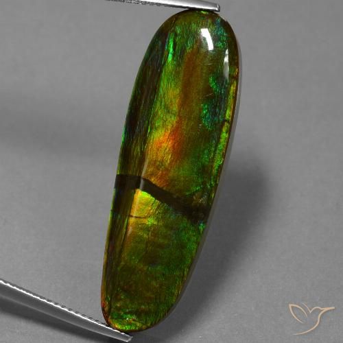 23.33ct Natural Multicolor Ammolite, Fancy, Opaque