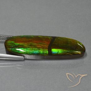 23.33 ct Multicolor Ammolite Stone, Natural Ammolite in Fancy Cabochon Shape for Sale