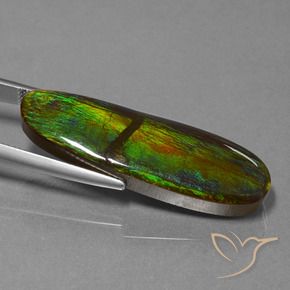 Ammolite Gemstone in 38 x 12.4 mm Size for Sale, Ammolite Stone in Multicolor Color