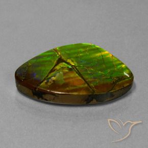 24.51 ct Multicolor Ammolite Stone, Natural Ammolite in Fancy Cabochon Shape for Sale