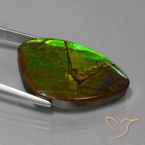 Ammolite Gemstone in 30.3 x 21 mm Size for Sale, Ammolite Stone in Multicolor Color