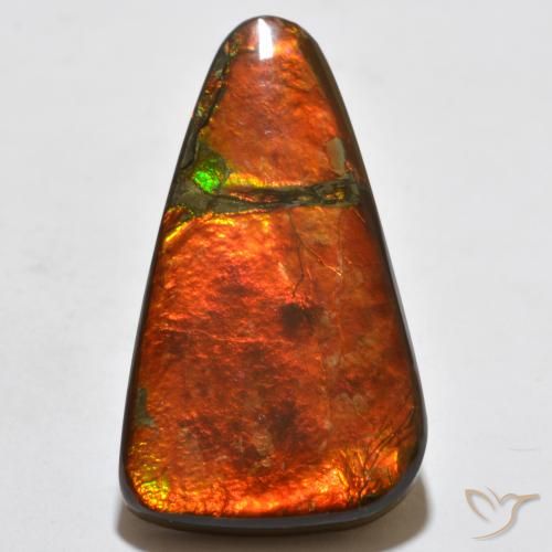 23.02ct Natural Multicolor Ammolite, Fancy, Opaque