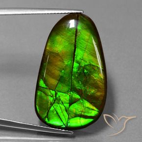 21.60 ct Multicolor Ammolite Stone, Natural Ammolite in Fancy Cabochon Shape for Sale