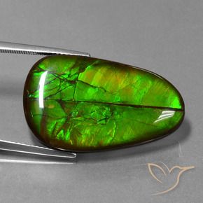 Ammolite Gemstone in 29.6 x 18 mm Size for Sale, Ammolite Stone in Multicolor Color