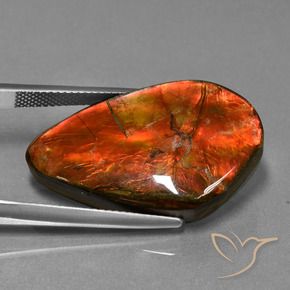 23.21 ct Multicolor Ammolite Stone, Natural Ammolite in Fancy Cabochon Shape for Sale