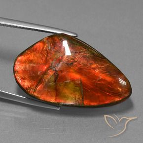 Ammolite Gemstone in 29.3 x 17.4 mm Size for Sale, Ammolite Stone in Multicolor Color