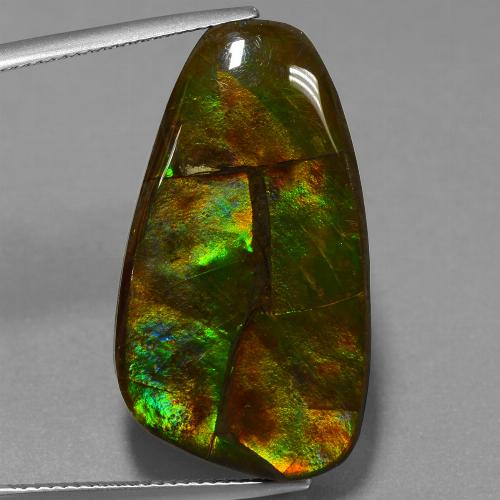 Multicolor Amolita Gema - 21.9ct Cabujón Elegante (ID: 451692)