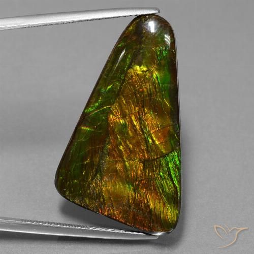 23.06 ct Fancy Ammolite, 30 x 18.7 mm From Canada, Photo A