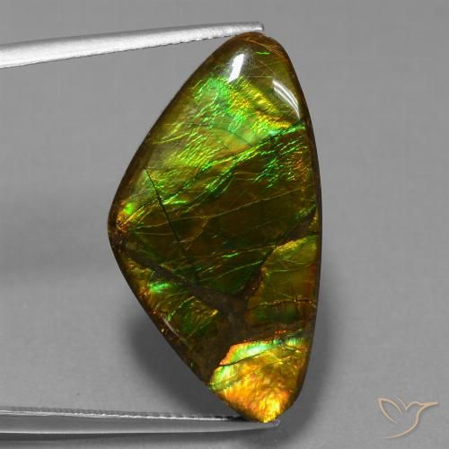 18.77ct Natural Multicolor Ammolite, Fancy, Opaque