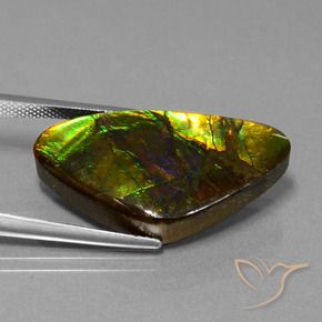 18.77 ct Multicolor Ammolite Stone, Natural Ammolite in Fancy Cabochon Shape for Sale