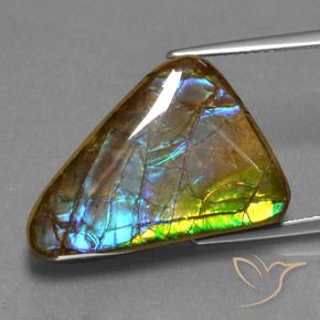 13.18 ct Multicolor Ammolite Stone, Natural Ammolite in Trillion Cabochon Shape for Sale