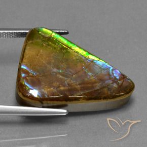 Ammolite Gemstone in 21 x 15.9 mm Size for Sale, Ammolite Stone in Multicolor Color