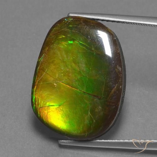 14.13 ct Fancy Ammolite, 19.6 x 14.8 mm From Canada, Photo A