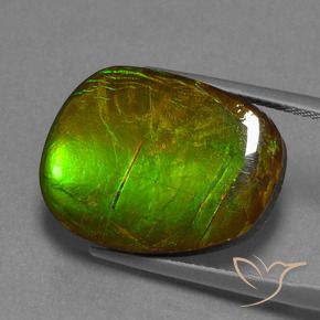 14.13 ct Multicolor Ammolite Stone, Natural Ammolite in Fancy Cabochon Shape for Sale