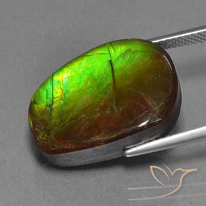 Ammolite Gemstone in 20 x 15 mm (calibrated) Size for Sale, Ammolite Stone in Multicolor Color