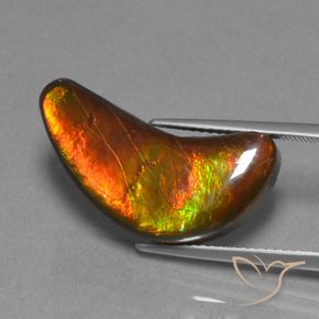 12.08 ct Multicolor Ammolite Stone, Natural Ammolite in Fancy Cabochon Shape for Sale