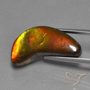 Ammolite Gemstone in 23.7 x 11.1 mm Size for Sale, Ammolite Stone in Multicolor Color