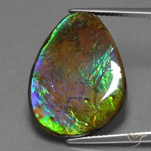 17.46 ct Fancy Ammolite, 22.5 x 17 mm From Canada, Photo A