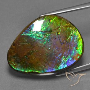 17.46 ct Multicolor Ammolite Stone, Natural Ammolite in Fancy Cabochon Shape for Sale