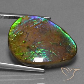 Ammolite Gemstone in 22.5 x 17 mm Size for Sale, Ammolite Stone in Multicolor Color