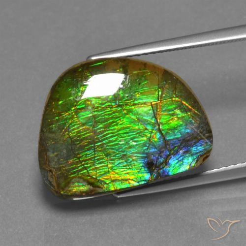 12.44ct Natural Multicolor Ammolite, Fancy, Opaque