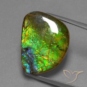 12.44 ct Multicolor Ammolite Stone, Natural Ammolite in Fancy Cabochon Shape for Sale