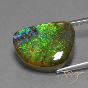 Ammolite Gemstone in 18.5 x 14.3 mm Size for Sale, Ammolite Stone in Multicolor Color
