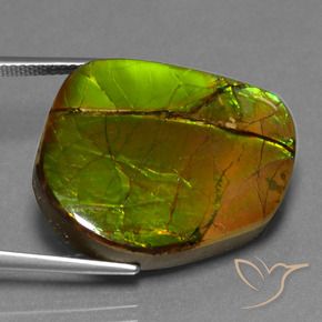 Ammolite Gemstone in 22.9 x 20.5 mm Size for Sale, Ammolite Stone in Multicolor Color