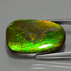24.20 ct Multicolor Ammolite Stone, Natural Ammolite in Fancy Cabochon Shape for Sale