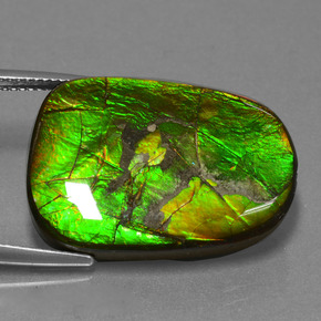 Ammolite Gemstone in 25.9 x 18.2 mm Size for Sale, Ammolite Stone in Multicolor Color