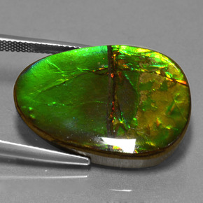 24.70 ct Multicolor Ammolite Stone, Natural Ammolite in Fancy Cabochon Shape for Sale