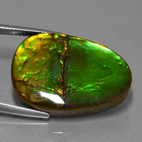 Ammolite Gemstone in 26.9 x 20 mm Size for Sale, Ammolite Stone in Multicolor Color