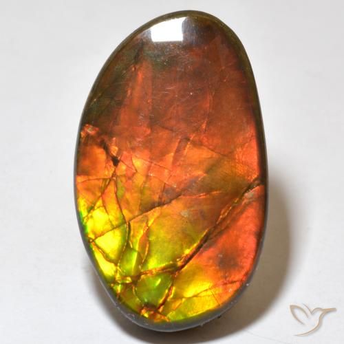 21.93ct Natural Multicolor Ammolite, Fancy, Opaque