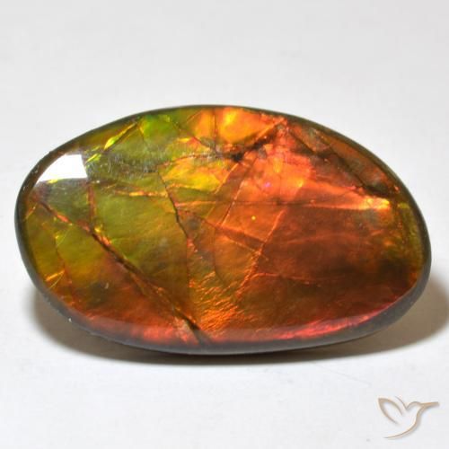 21.93 ct Multicolor Ammolite Stone, Natural Ammolite in Fancy Cabochon Shape for Sale