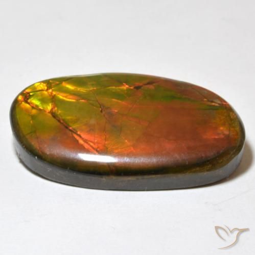 Ammolite Gemstone in 27.8 x 17.1 mm Size for Sale, Ammolite Stone in Multicolor Color