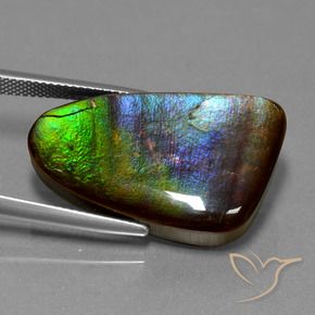 22.78 ct Multicolor Ammolite Stone, Natural Ammolite in Fancy Cabochon Shape for Sale