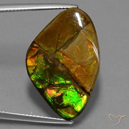 18.98ct Natural Multicolor Ammolite, Fancy, Opaque