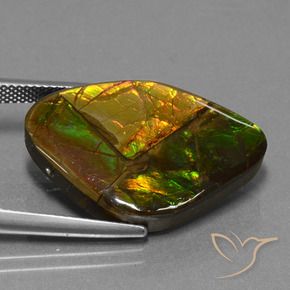 18.98 ct Multicolor Ammolite Stone, Natural Ammolite in Fancy Cabochon Shape for Sale