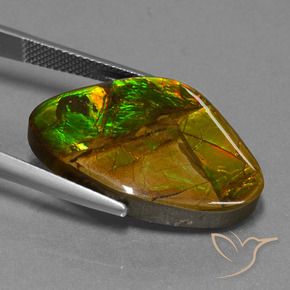 Ammolite Gemstone in 26.1 x 17.4 mm Size for Sale, Ammolite Stone in Multicolor Color