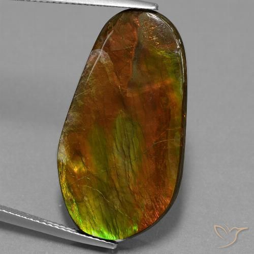 18.71ct Natural Multicolor Ammolite, Fancy, Opaque