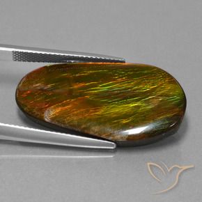 18.71 ct Multicolor Ammolite Stone, Natural Ammolite in Fancy Cabochon Shape for Sale