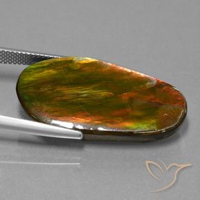Ammolite Gemstone in 30.1 x 16.6 mm Size for Sale, Ammolite Stone in Multicolor Color