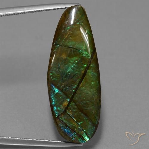 14.36ct Natural Multicolor Ammolite, Fancy, Opaque