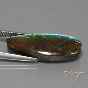 14.36 ct Multicolor Ammolite Stone, Natural Ammolite in Fancy Cabochon Shape for Sale